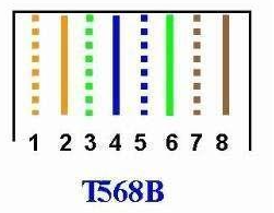 网线水晶头插座接头排线接线顺序与方法图解 网线水晶头插座接头排线接线顺序与方法图解